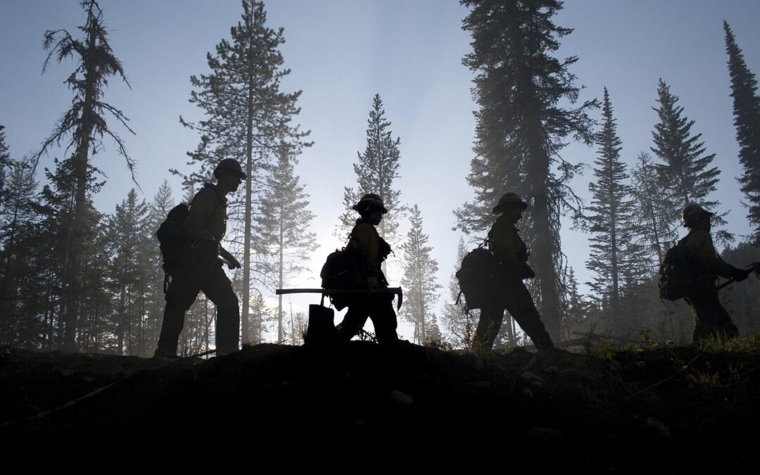 Behind The Alarm: Wildfire Firefighting – Battle On All Fronts