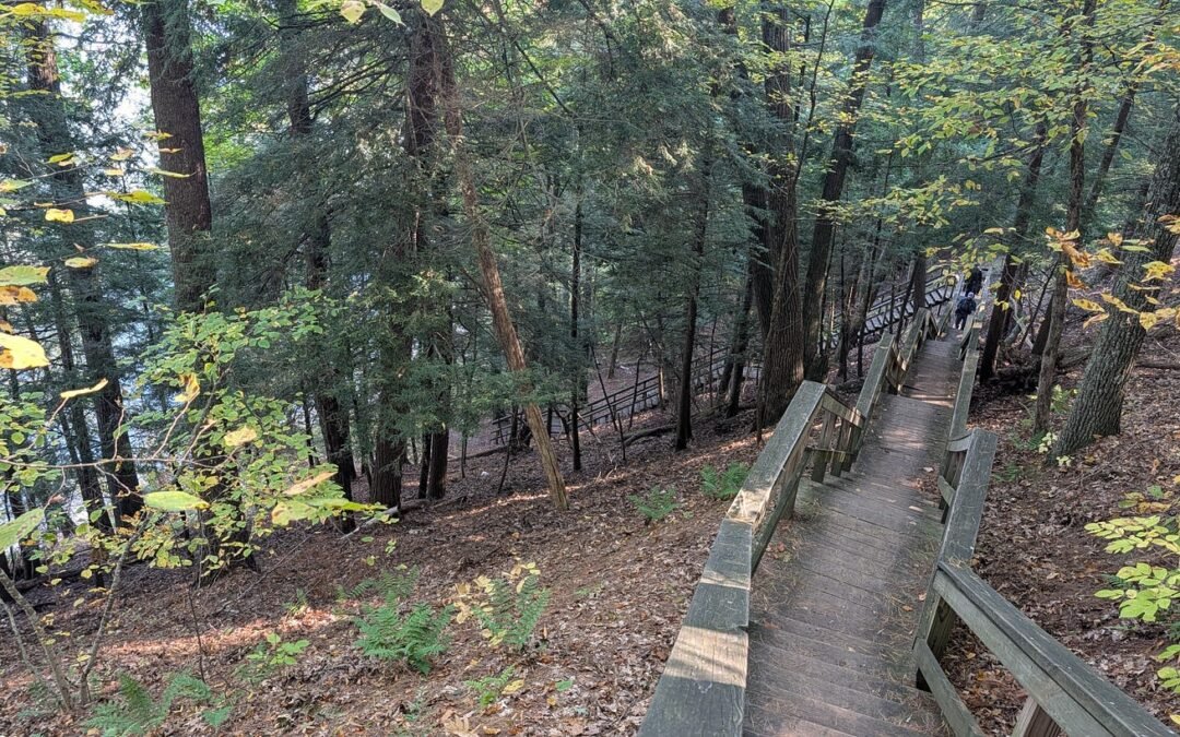 Wooden staircase descending a wooded bank toward the Manistee River