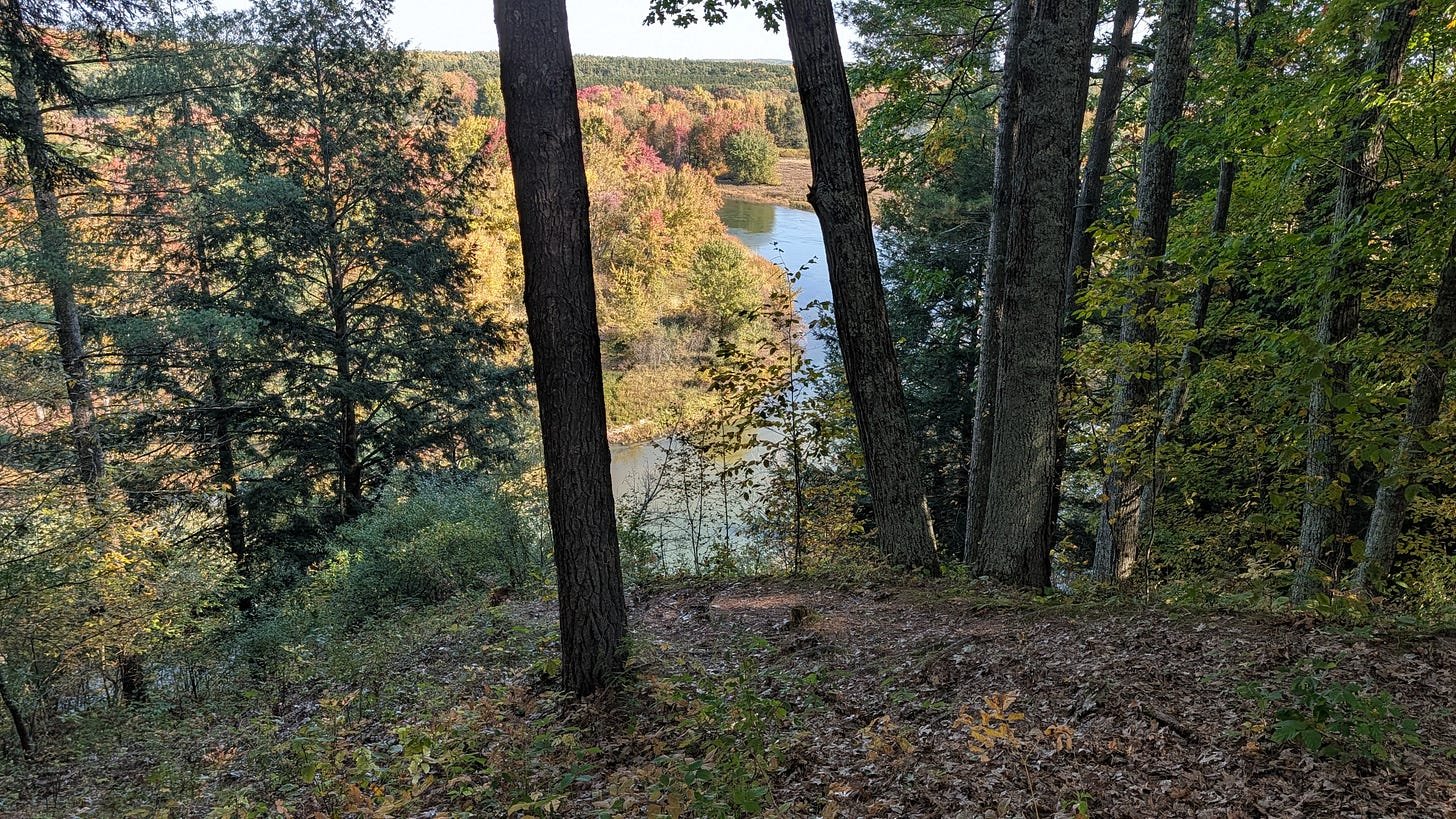 View from the top of the bank over the Manistee River valley in fall color