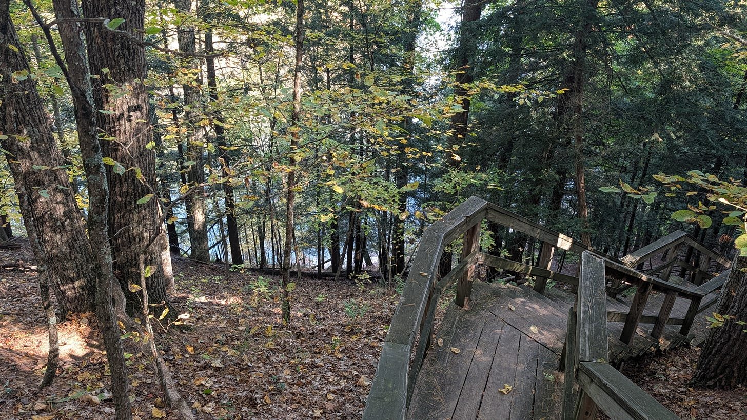 Wooden staircase turning down the wooded hillside