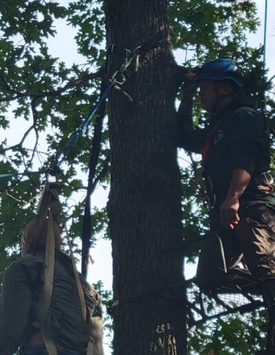 Two rescuers working high in a tree during tree stand rescue training, September 12, 2026