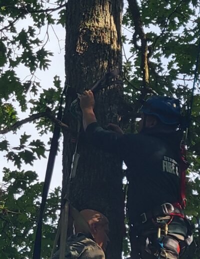 A rescuer rigging on the trunk of a tree during tree stand rescue training, September 12, 2026